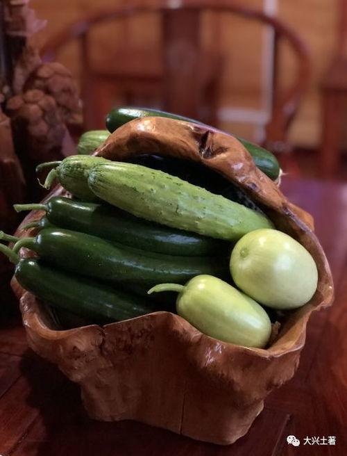 吃的千万网红的瓜,揭秘千万粉丝背后的美食秘密