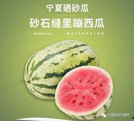 1元吃瓜网红,网红吃瓜界的传奇崛起