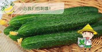 种瓜吃瓜网,揭秘瓜农生活，品味田园风光