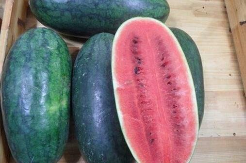 山东网红吃烧瓜事件,揭秘“网红美食”背后的真相