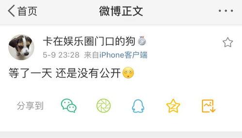 吃瓜爆料迅雷分享,迅雷分享背后的秘密大揭秘