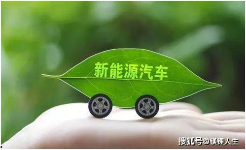 吃瓜网轻量版,轻松掌握娱乐圈最新动态